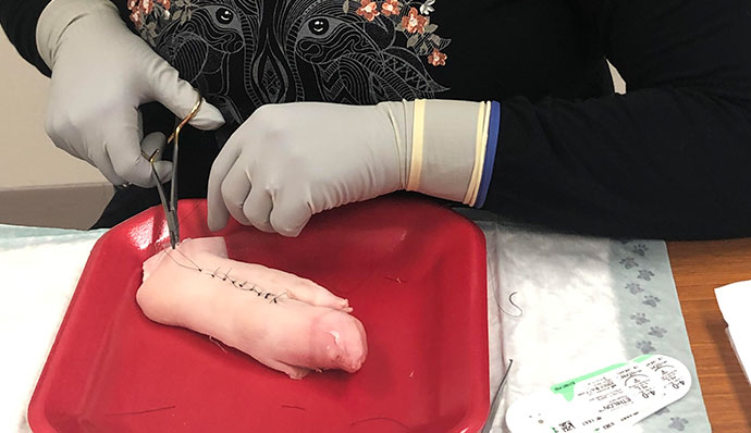 A woman performing stitching at Wisconsin Wound Closure Workshop